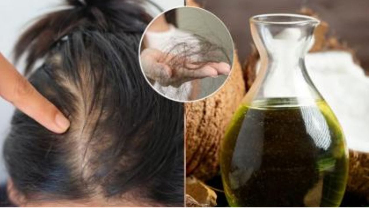 మెంతులు: మెంతుల్లో ప్రొటీన్, ఫైబర్ సమృద్ధిగా ఉంటాయి. జుట్టు సంరక్షణకు ఉపయోగించే సహజ పదార్థాల్లో మెంతులు ఎప్పుడూ ముందుంటాయి. వీటిలోని పోషకాలు జుట్టు కుదుళ్లను దృఢంగా, మృదువుగా ఉంచుతాయి. కొబ్బరినూనెలో కొద్దిగా మెంతులు వేసి తక్కువ మంటపై వేడి చేసి, చల్లారిన తర్వాత ఆ నూనెను తలకు రాసుకోవచ్చు.