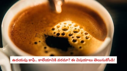 ఉదయపు కాఫీ.. కాలేయానికి వరమా? ఈ విషయాలు తెలుసుకోండి!