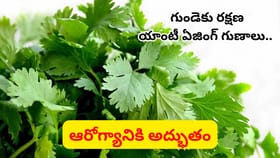 కిడ్నీలు, లివర్‌ను డిటాక్స్ చేసే మొనగాడు వజ్రాయుధం..
