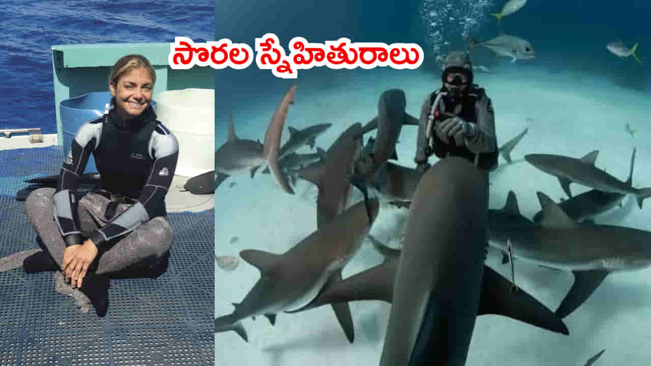 తల్లి కోసం బిడ్డల్లా.. ఈమె కోసం సొర చేపలు ఎదురుచూస్తాయి! 23 ఏళ్లుగా ఇదే తంతు..