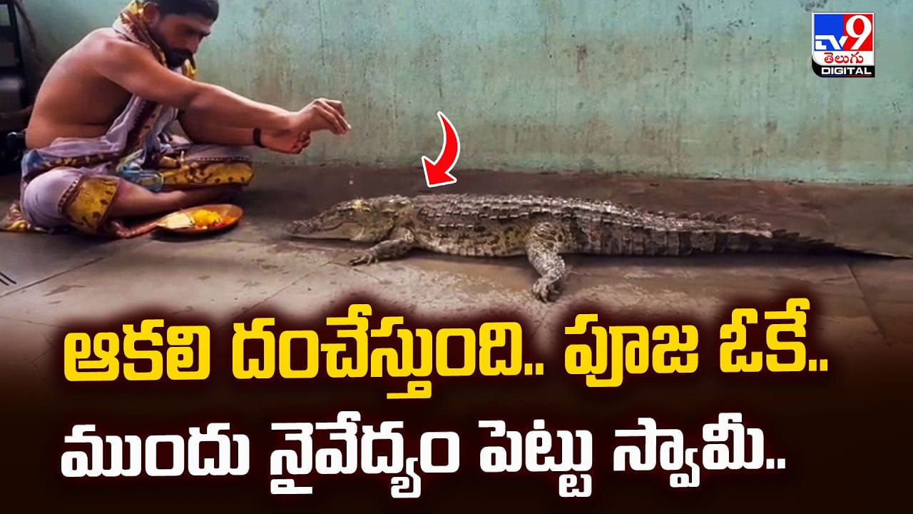 ఆకలి దంచేస్తుంది.. పూజ ఓకే.. ముందు నైవేద్యం పెట్టు స్వామీ.. ఆకలి దంచేస్తుంది.. పూజ ఓకే.. ముందు నైవేద్యం పెట్టు స్వామీ..