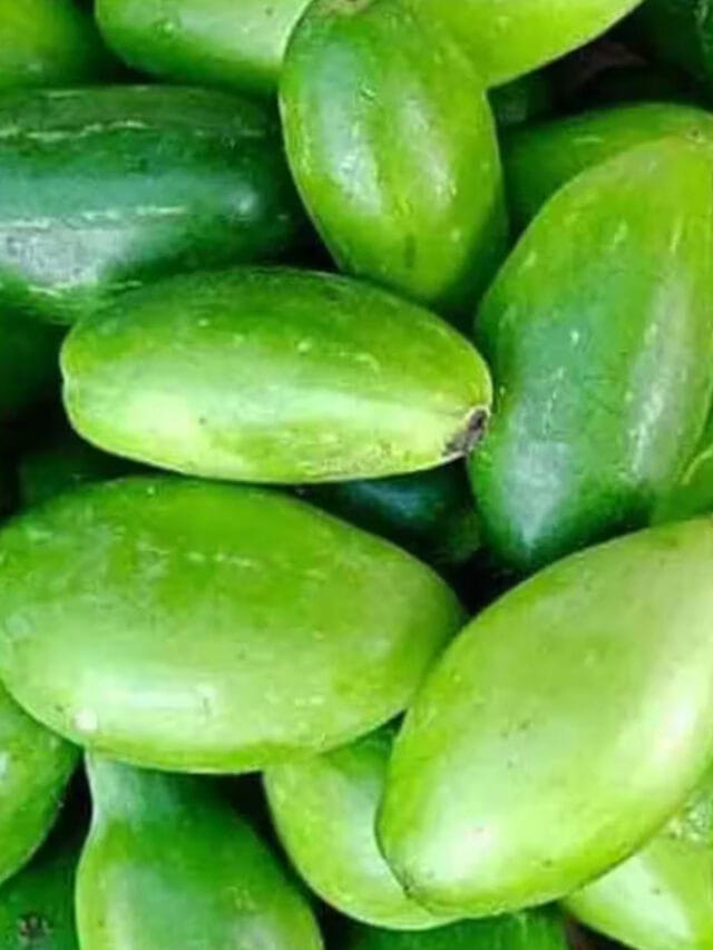 దొండకాయ తింటే నిజంగానే మతిమరుపు వస్తుందా!
