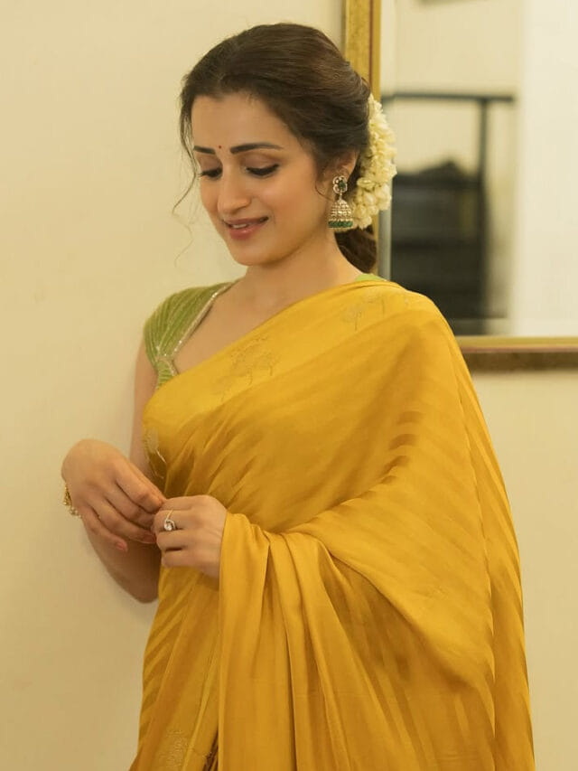 చీరలో చూడ చక్కగా.. త్రిష క్యూట్ పిక్స్
