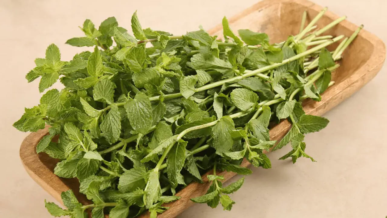 Cucumber Curry Leaves And Mint (4)