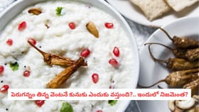 పెరుగన్నం తిన్న వెంటనే కునుకు ఎందుకు వస్తుంది?.. ఇందులో నిజమెంత?
