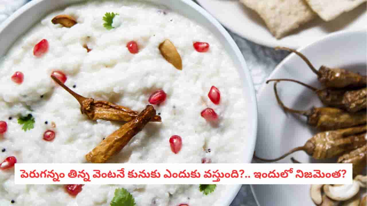Curd Rice: పెరుగన్నం తిన్న వెంటనే కునుకు ఎందుకు వస్తుంది?.. అసలు కారణం తెలిస్తే షాక్ అవుతారు!
