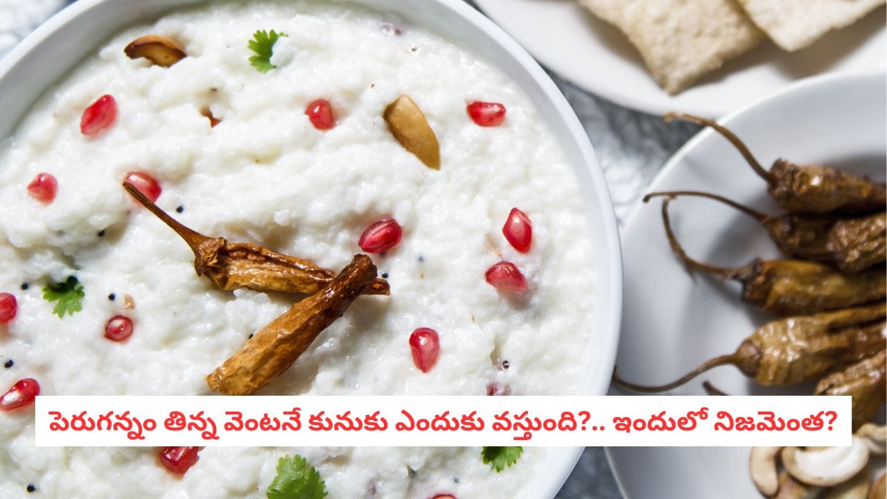 Curd Rice: పెరుగన్నం తిన్న వెంటనే కునుకు ఎందుకు వస్తుంది?.. అసలు కారణం తెలిస్తే షాక్ అవుతారు!