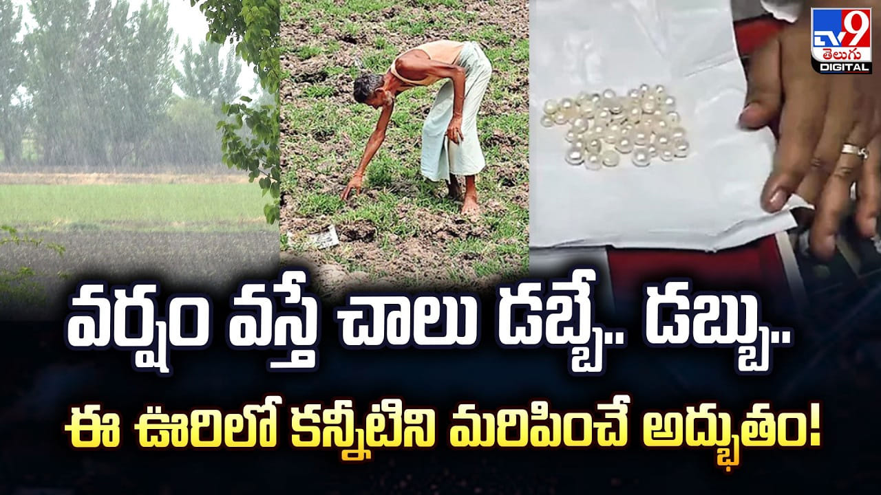వర్షం వస్తే చాలు డబ్బే.. డబ్బు.. ఈ ఊరిలో కన్నీటిని మరిపించే అద్భుతం! వర్షం వస్తే చాలు డబ్బే.. డబ్బు.. ఈ ఊరిలో కన్నీటిని మరిపించే అద్భుతం!