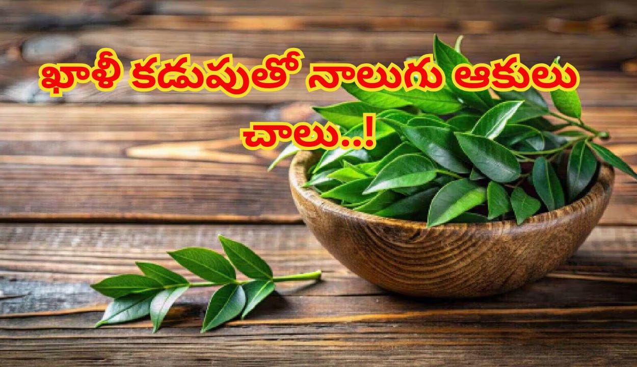 ఉదయాన్నే ఖాళీ కడుపుతో ఇవి నాలుగు ఆకులు నమిలి చూడండి.. మీ బాడీలో జరిగే మ్యాజిక్ నమ్మలేరు..!