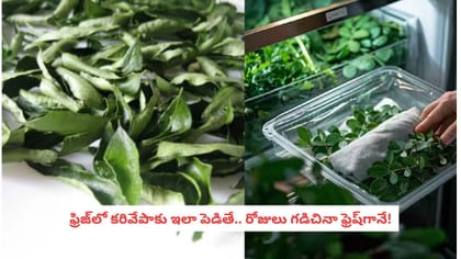 ఫ్రిజ్‌లో కరివేపాకు ఇలా పెడితే.. రోజులు గడిచినా ఫ్రెష్‌గానే!