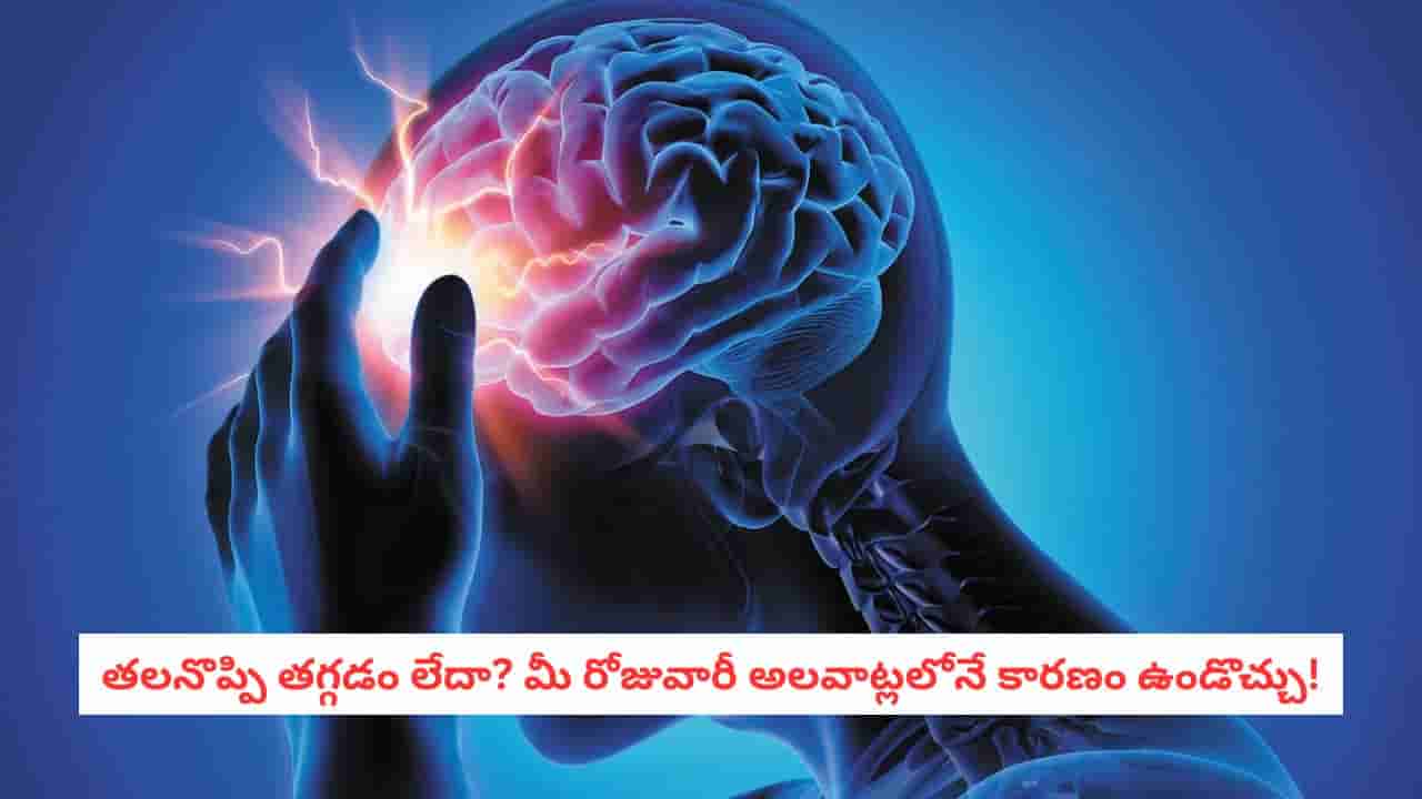 Headache Causes: రోజూ తలనొప్పితో బాధపడుతున్నారా? ఈ చిన్న కారణాలను అస్సలు మిస్ చేయకండి!