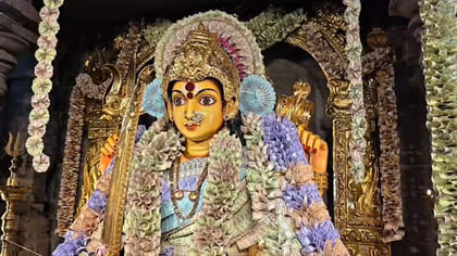 ధనలక్ష్మిగా అనకాపల్లి నూకాలమ్మ తల్లి