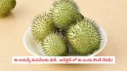 ఈ కామర్స్ కంపెనీలకు షాక్.. ఆన్‌లైన్ లో ఈ పండు కొంటే నేరమే!
