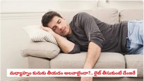 మధ్యాహ్నం కునుకు తీయడం అలవాటైందా?.. లైట్ తీసుకుంటే డేంజరే