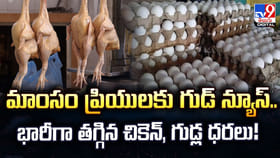 మాంసం ప్రియులకు గుడ్ న్యూస్.. భారీగా తగ్గిన చికెన్, గుడ్ల ధరలు!
