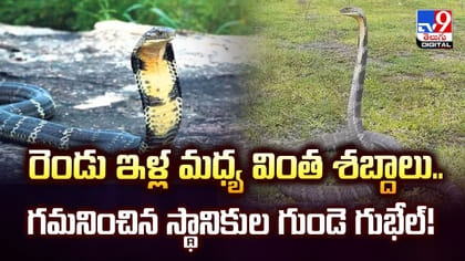 రెండు ఇళ్ల మధ్య వింత శబ్దాలు.. గమనించిన స్థానికుల గుండె గుభేల్‌!