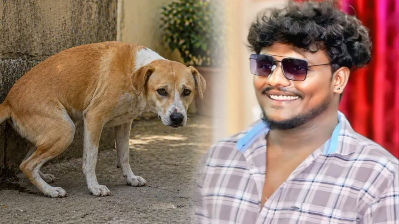పరిచయం లేదు.. పగ లేదు.. కేవలం కుక్క చేసిన పనికి యువకుడి ప్రాణమే పోయింది!