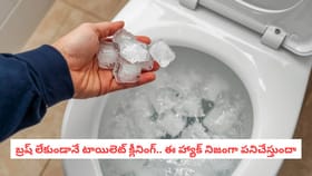 బ్రష్ లేకుండానే టాయిలెట్ క్లీనింగ్.. ఈ హ్యాక్ నిజంగా పనిచేస్తుందా