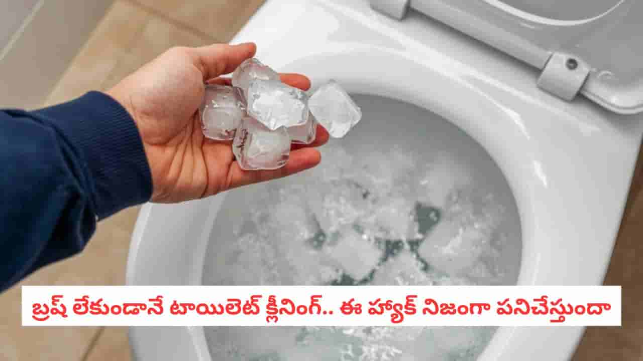 Viral Cleaning Hack: బ్రష్ లేకుండానే టాయిలెట్ క్లీనింగ్?.. సోషల్ మీడియాలో వైరలవుతున్న ట్రిక్!