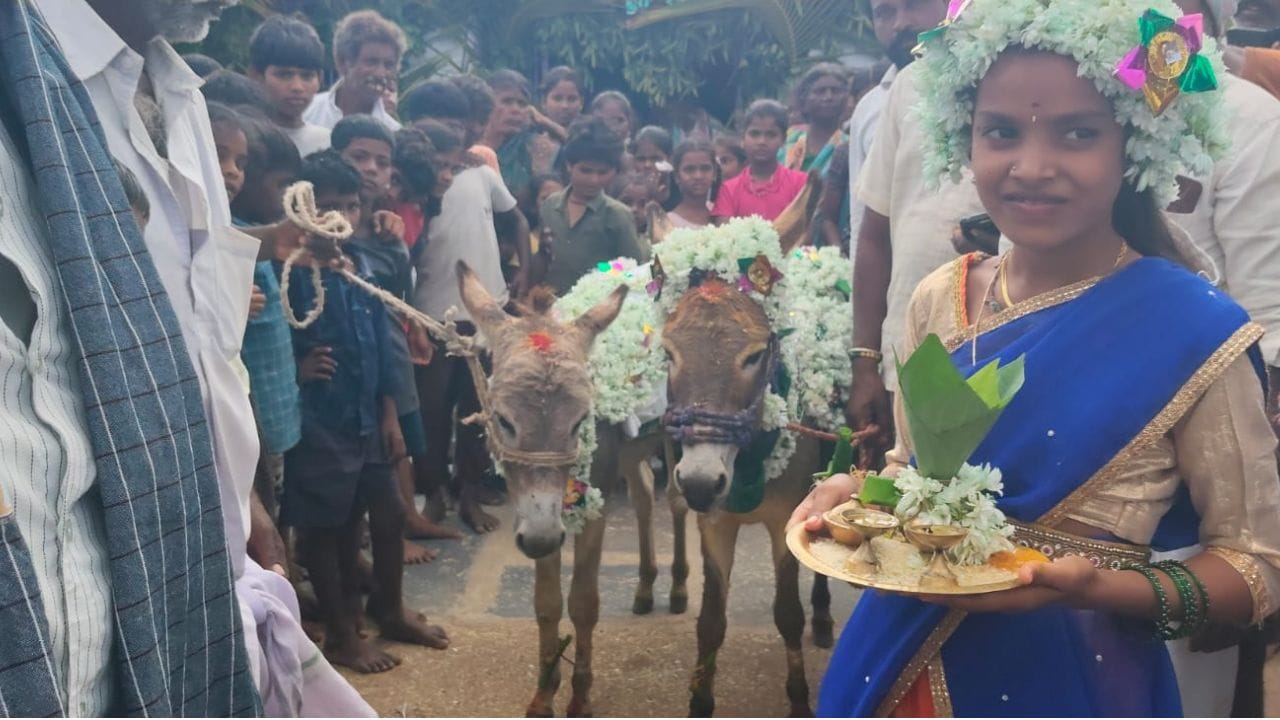 అనంతపురం జిల్లా విడపనకల్లు మండలం పాల్తూరులో వర్షం కోసం గ్రామస్తులు ప్రత్యేక పూజలు చేశారు. గాడిదలకు పెళ్లి చేసి వాటిని ఊరంతా ఉరేగించారు.అనంతం వాటిని ఆశీర్వాదాలు తీసుకున్నారు. ఇలా చేయడం వల్ల వరుణ దేవుడు కరుణించి వర్షాలు కురుస్తాయని స్థానిక ప్రజల ప్రగాడ నమ్మకం.