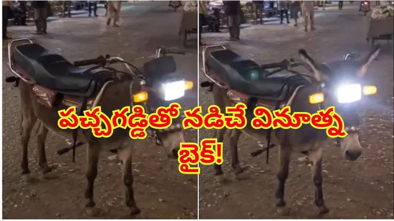 పచ్చి గడ్డితో నడిచే వినూత్న బైక్.. బ్రేకులేని ఈ బండికి హెల్మెట్‌అవసరమే ఉండదు..!
