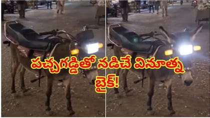 పచ్చి గడ్డితో నడిచే వినూత్న బైక్.. బ్రేకులేని ఈ బండికి హెల్మెట్‌