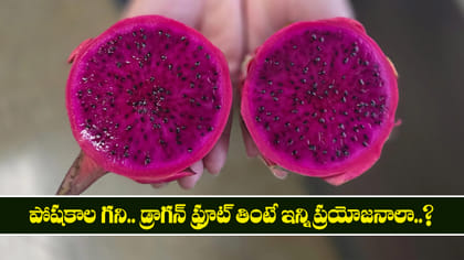 పోషకాల గని.. డ్రాగన్ ఫ్రూట్ తింటే ఇన్ని ప్రయోజనాలా..?