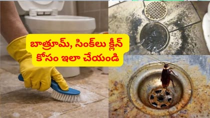 ఇంట్లో డ్రైనేజ్ వాసన, బొద్దింకలు రాకుండా ఉండేందుకు సూపర్ చిట్కా..