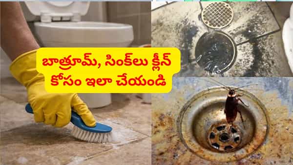 రూపాయి ఖర్చు లేదు.. ఇంట్లో డ్రైనేజ్ వాసన, బొద్దింకలు రాకుండా ఉండేందుకు సూపర్ చిట్కా..