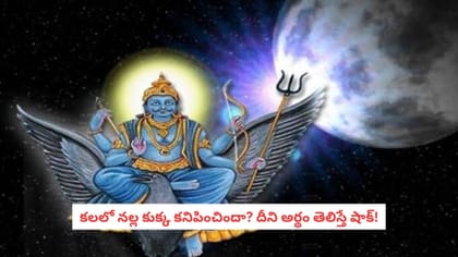 కలలో నల్ల కుక్క కనిపించిందా? దీని అర్థం తెలిస్తే షాక్!