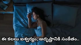 కలలో ఇవి కనిపిస్తున్నాయా? అయితే త్వరలో అదృష్టం మీ తలుపు తట్టే..