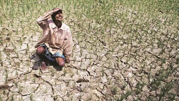 మండుతున్న వర్షాకాలం.. కరువు కొరల్లోకి రైతన్నలు.. ఏ పంటలు వేయాలో దిక్కుతోచని