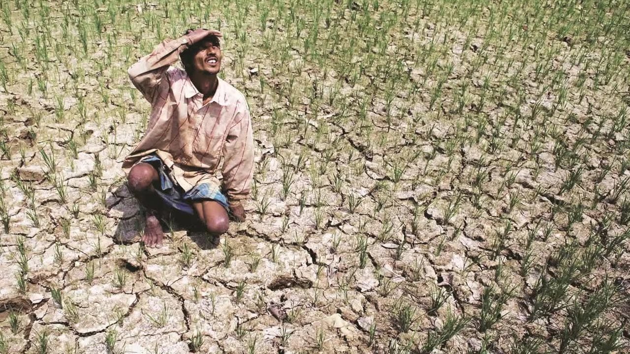 మండుతున్న వర్షాకాలం.. కరువు కొరల్లోకి రైతన్నలు.. ఏ పంటలు వేయాలో దిక్కుతోచని