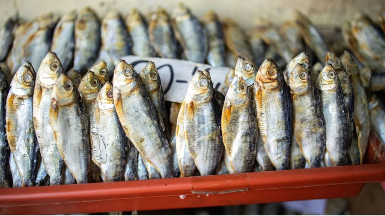Dry Fish Vs Fresh Fish