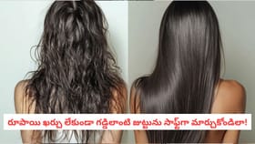 రూపాయి ఖర్చు లేకుండా గడ్డిలాంటి జుట్టును సాఫ్ట్‌గా మార్చుకోండిలా!