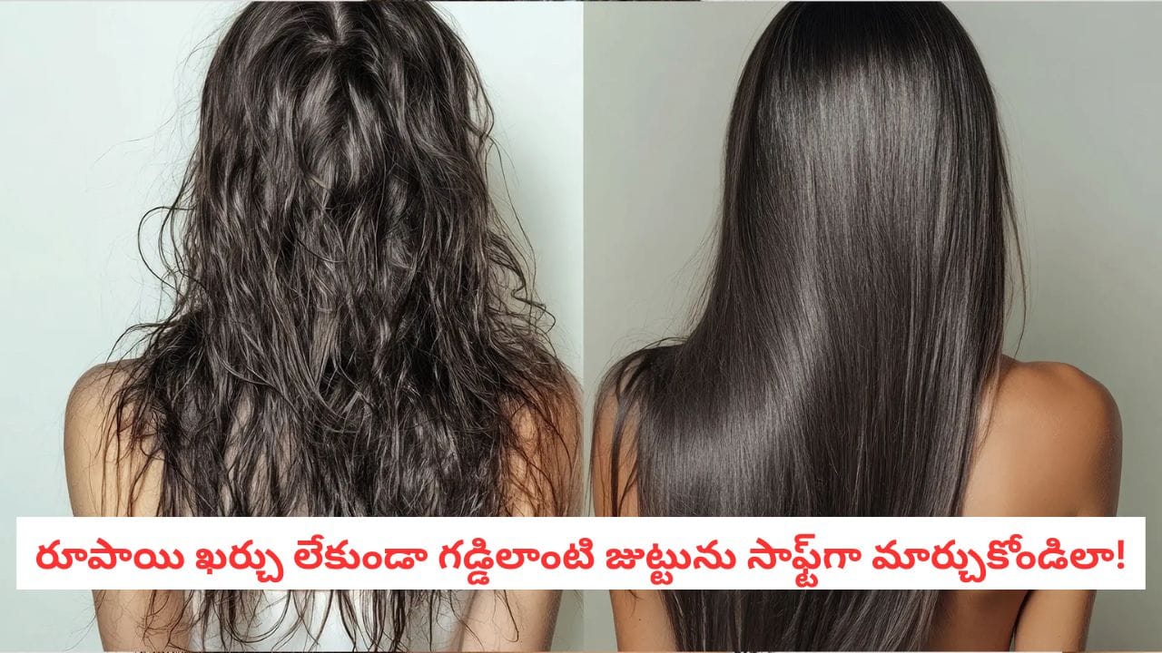Hair Care Secrets: పొడిబారిన జుట్టుతో విసిగిపోయారా?.. షైనీ షైనీ జుట్టు కోసం అద్భుతమైన కిచెన్ రెమిడీస్ ఇవే!