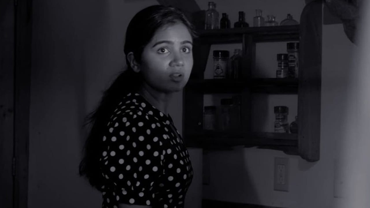 ఈ సినిమా ప్రత్యేకత ఏంటంటే ఇందులో రెండు భిన్నమైన కథలు ఉంటాయి. మొదటి కథ: ఒక వ్యక్తి తన వద్ద ఉన్నదంతా కోల్పోయి, అత్యంత ప్రమాదకరమైన జాంబీల (Zombies) ప్రపంచంలో చిక్కుకుంటాడు. భయంకరమైన ఆ వాతావరణం నుంచి అతడు తన ప్రాణాలను ఎలా కాపాడుకున్నాడు? అసలు అతడు ఆ పరిస్థితిలోకి ఎందుకు నెట్టబడ్డాడు? అనేది మొదటి కథాంశం.