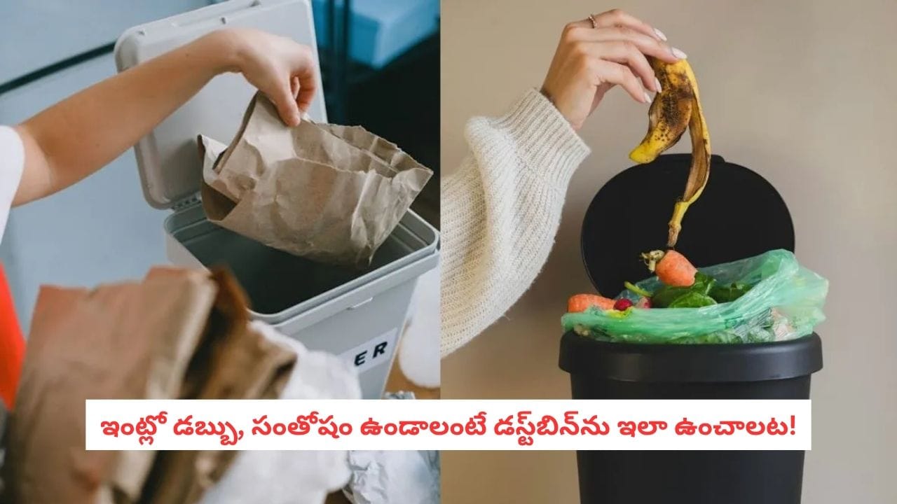 Vastu Tips: ఇంట్లో డస్ట్బిన్ ఎక్కడ పెట్టాలి? ఈ దిశలో పెడితే నెగెటివ్ ఎనర్జీకి వెల్కం చెప్పినట్టే!