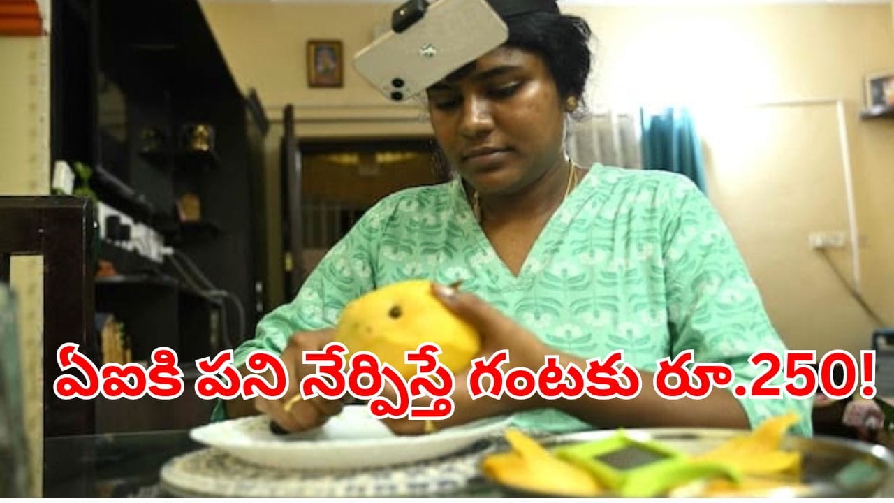 ఆడవాళ్లకు అదిరిపోయే ఆఫర్.. మీ పని మీరు చేస్తూనే గంటకు రూ.250 సంపాదించే ఛాన్స్! ఎలా అంటే?