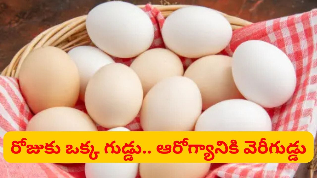 ఒక్కటి చాలు.. ప్రతిరోజూ కోడిగుడ్డు తినడం వల్ల ఎన్ని లాభాలో మీకు తెలుసా..?