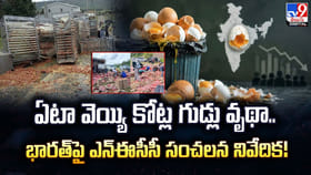 ఏటా వెయ్యి కోట్ల గుడ్లు వృథా.. భారత్‌పై ఎన్‌ఈసీసీ సంచలన నివేదిక!
