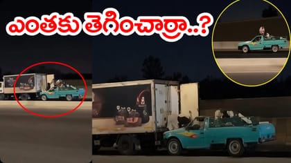 కదులుతున్న ట్రక్కులో 105 కిలోల చికెన్ ఎత్తుకెళ్లిన దొంగలు! వీడియో
