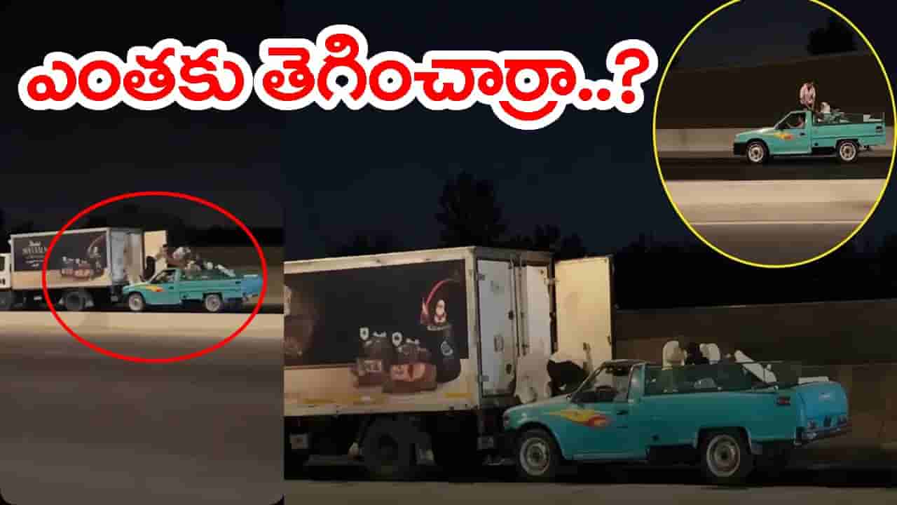 హాలీవుడ్ మువీ స్టైల్లో.. కదులుతున్న ట్రక్కులో 105 కిలోల చికెన్ చోరీ! ముగ్గురు మృతి.. వీడియో