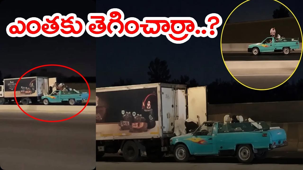 హాలీవుడ్ మువీ స్టైల్లో.. కదులుతున్న ట్రక్కులో 105 కిలోల చికెన్ చోరీ! ముగ్గురు మృతి.. వీడియో