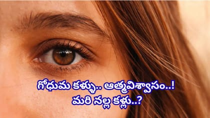 కళ్ల రంగు బట్టి మీ స్వభావం ఎలా ఉంటుందో తెలుసా? సముద్రిక శాస్త్రం