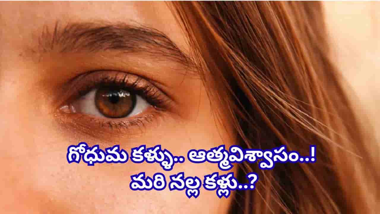 Eye Color Meaning: కళ్ల రంగు బట్టి మీ స్వభావం ఎలా ఉంటుందో తెలుసా? సముద్రిక శాస్త్రం ఏం చెబుతోంది?