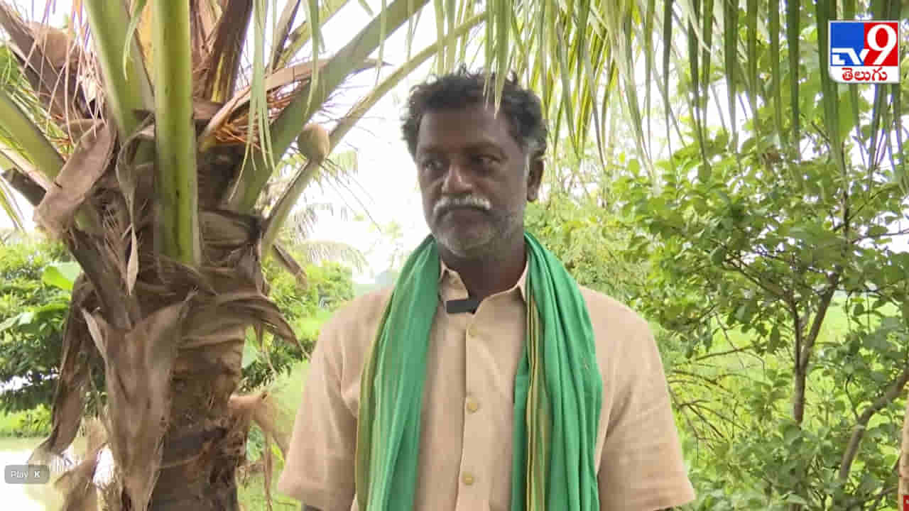 ఎకరన్నర పొలంలో అద్భుతం చేసిన రైతు.. ఆ క్షేత్రానికి వివిధ దేశాల శాస్త్రవేత్తల క్యూ..