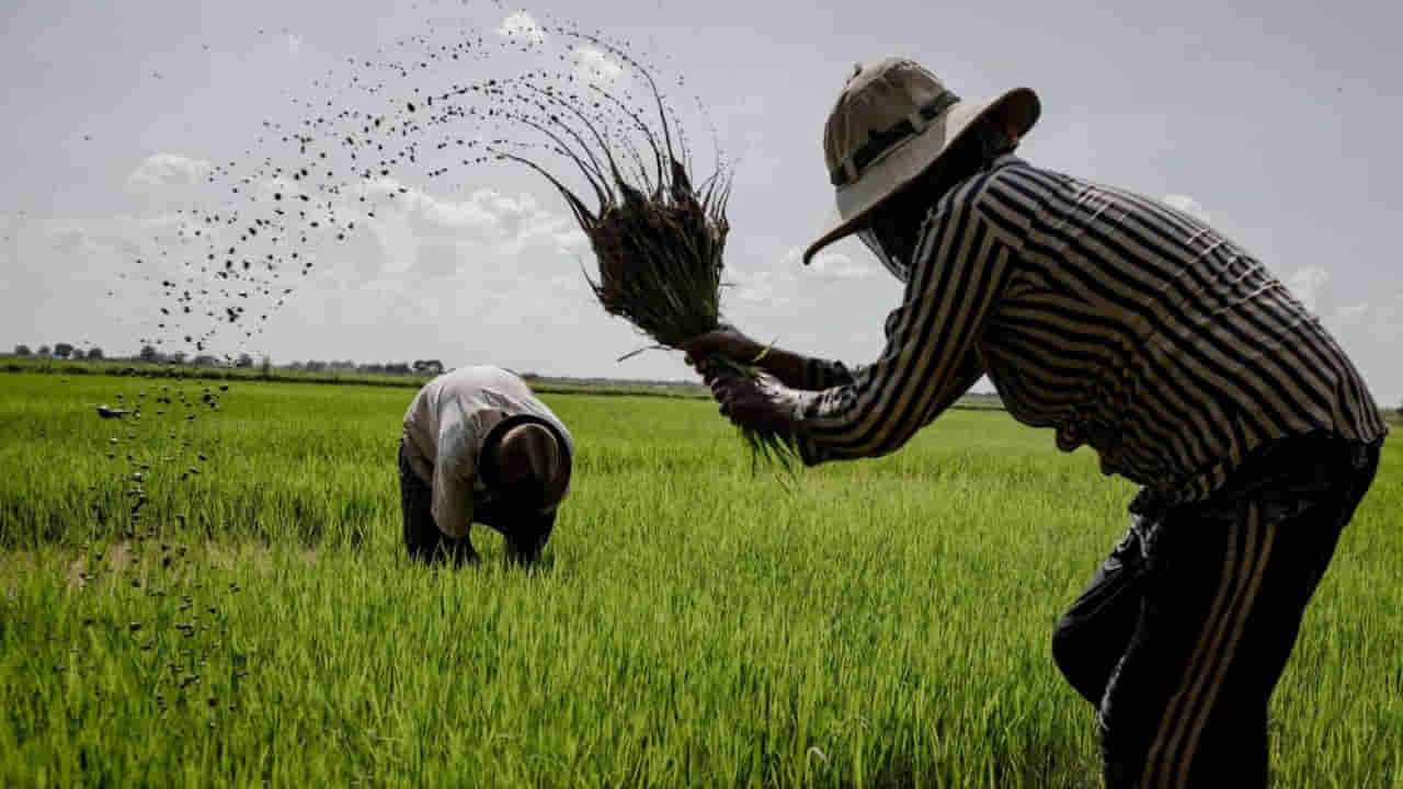 Andhra Pradesh: ఏపీలోని రైతులకు కూటమి సర్కార్ శుభవార్త.. ఈ నెల 31 వరకు అవకాశం.. దరఖాస్తు చేస్తే అకౌంట్లోకి డబ్బులు..