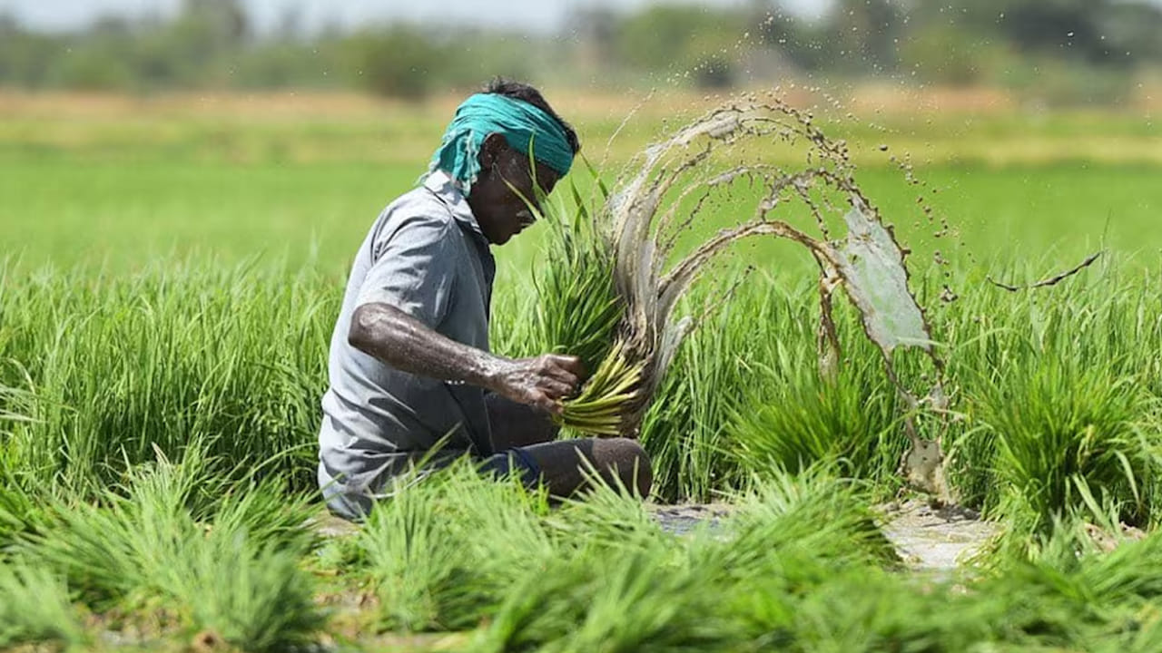 Andhra Pradesh: ఏపీలోని రైతులకు సూపర్ న్యూస్.. ఒక్క రూపాయి చెల్లిస్తే చాలు.. ఈ నెల 15 వరకు గడువు..