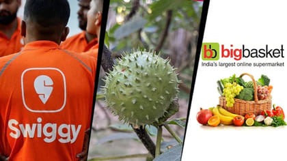 అమెజాన్, స్విగ్గీ ఇన్‌స్టామార్ట్, బిగ్‌బాస్కెట్‌లపై FDA కొరడా!